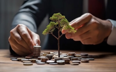 Steuerliches Investitionssofortprogramm: Neue Chancen für Unternehmen ab 2025